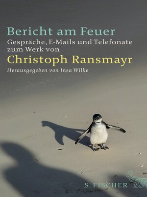 cover image of Bericht am Feuer